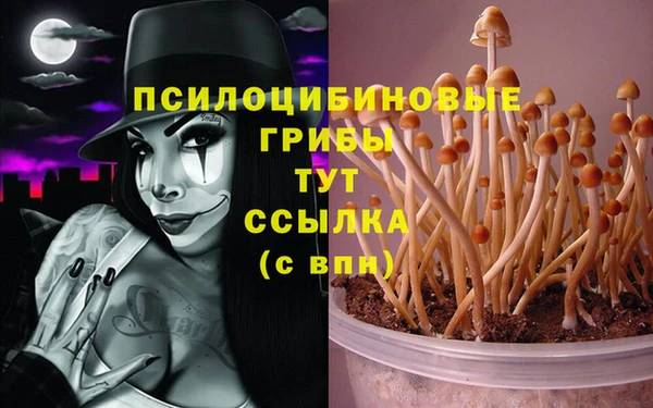 Альфа ПВП Балахна